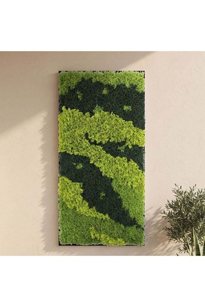Danube Home Artificial Moss With Frame 50X100 Cm, Multi Color, Graceful