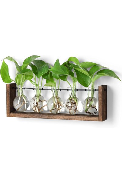 Generic محطات تكاثر النباتات، حوض نباتات زجاجي مع حامل خشبي، حوض زجاجي معلق ع...