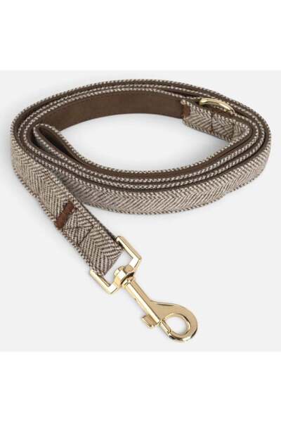 ANTBRO Lesă pentru Câini Premium Pet cu Detalii Aurii, ANTBRO®