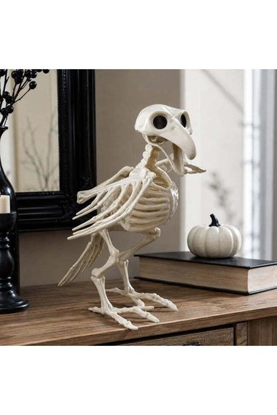 SHOPIENS Schelet De Corb Pentru Decoruri Horror De Halloween 28.5 cm Shopiens®