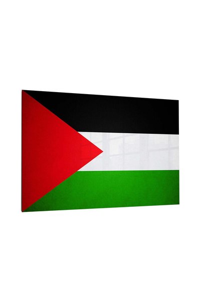 BLANKD Palestine Flag Metal Poster - Magnetic Wall Art Print