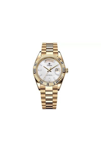 Bluejw New Dulunwe Brand Business Men's Watches Luxury Calendar Week Automati...