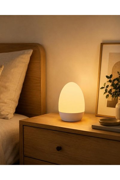 Arabest Rechargeable Night Light Touch Table Lamp with 3 Color Temperatures