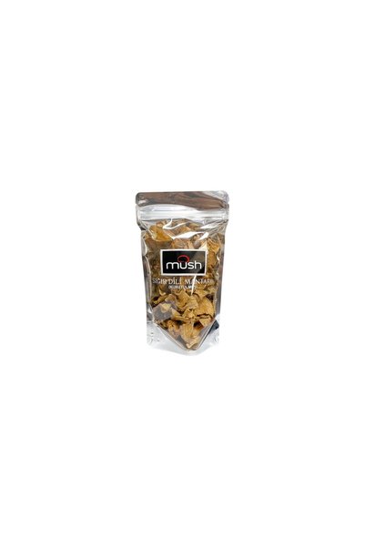 NO BRAND Mush Kuru Sığır Dili Mantarı 35 Gr - Doğal Kurutulmuş Sebze 2'li Ekonomik Paket - 2 Adet