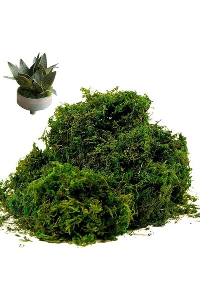 HASTHIP ® Artificial Moss for Potted Plants, Natural Fake Moss Grass Fresh Gr...