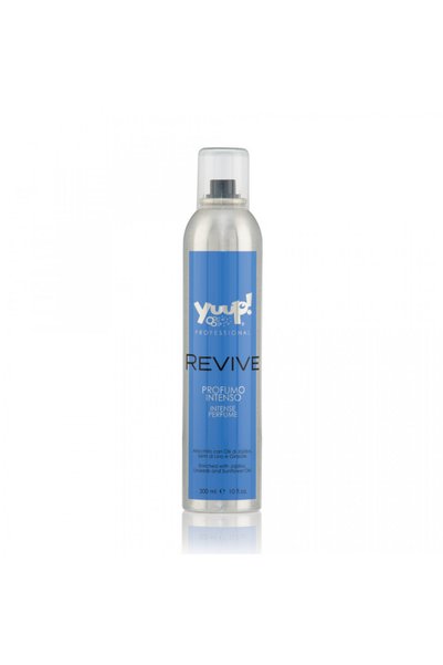 Other Άρωμα Γιουπ Προφέσιοναλ Ρεβάιβ - 300ml