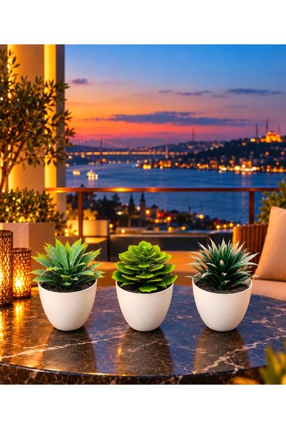 çiçek vili 3 lü sukulent beyaz saksılı yapay çiçek ev raf premium