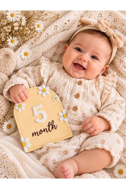 SOLIS DESIGN Baby 12 Month Memory Cards |   Natural Birch Contra and Plexi Numbered Baby Memory Disc