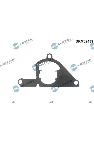 DR.MOTOR AUTOMOTIVE Garnitura, Pompa Vacuum Ford Focus 4/Galaxy 3/Galaxy Mk 3...