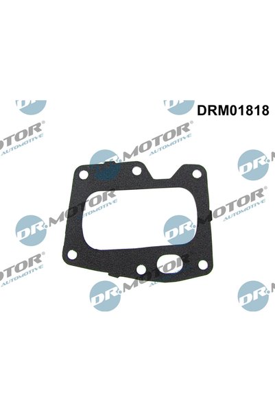 DR.MOTOR AUTOMOTIVE Garnitura, supapa EGR Citroën C4 2/C4 Picasso 2/C4 Spacet...