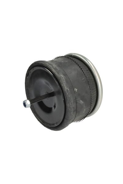 DT Spare Parts Perna de Aer din Fata/Fata Dreapta With Base Iveco Stralis Ii ...