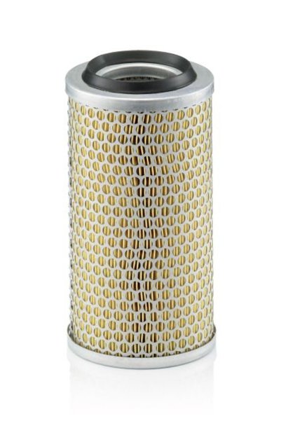 Mann-Filter Filtru de Aer C13131
