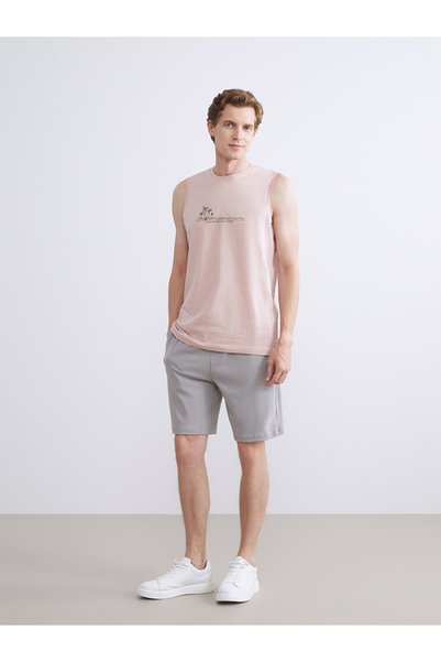 LC Waikiki Timeless Clothing & Timeless Choices Standardfit Men's Shorts