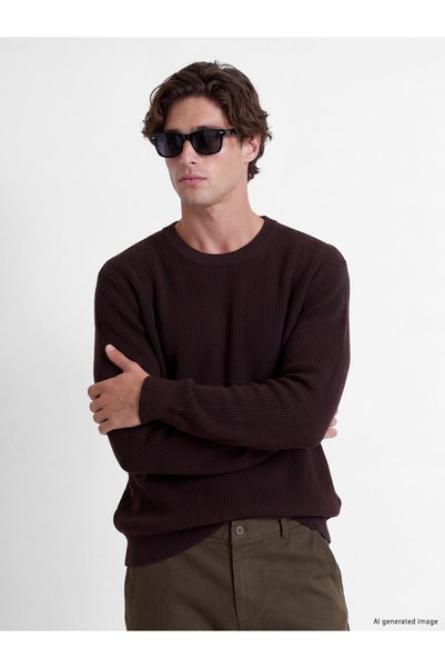 LC Waikiki Ozmarka New Season Brown Crew Neck Men's Knitwear Sweater