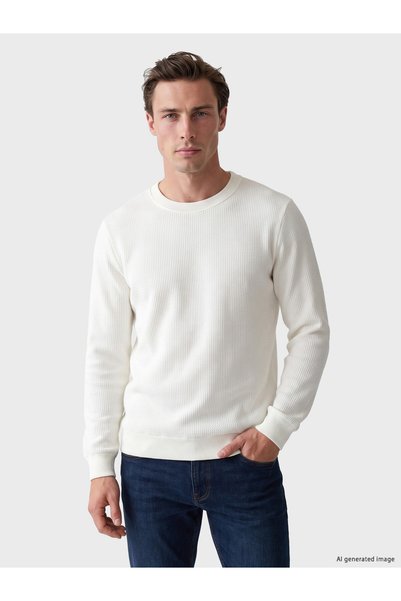 LC Waikiki Sweatshirt pentru bărbați Sparkly Choices Zero Roba Yaka de la Shi...