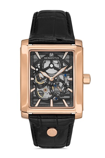 Momentus Men's Wrist Watch S.Tm333R-04Br