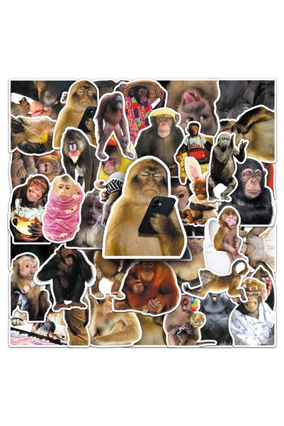 Choice1 50Pcs X 2 50Pcs Crazy Funny Monkey & Orangutan Doodle Stickers Waterp...