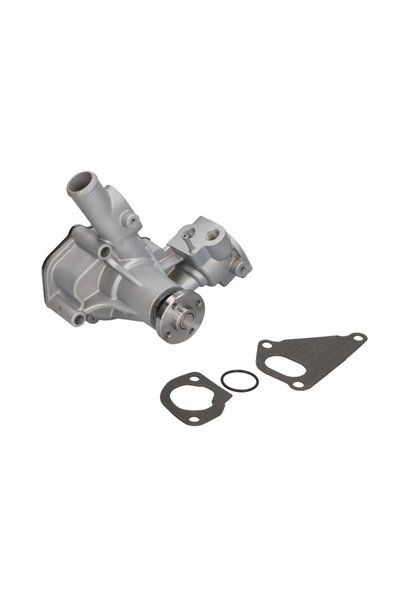 Thermotec Pompa de Apa 4tnv84t Landini 55 Mustang 2044 New Holland T3040 LAND...