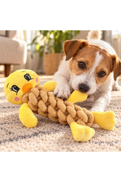 petbutik35 Chick Teeth Grinding Rope Dog Toy 19cm