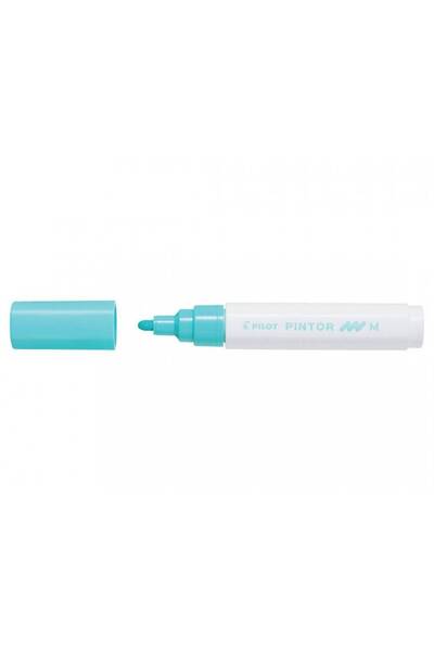 Pilot Μαρκαδόρος Ζωγραφικής Pintor Medium Παστέλ Πράσινο SW-PT-M-PG