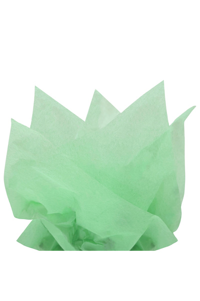 Papette Set 400 bucăți Hârtie de mătase 17g MINT GREEN - 36 x 50cm