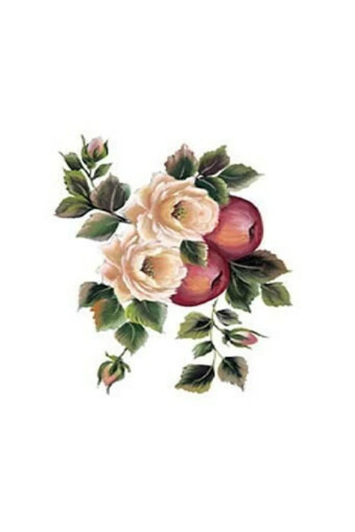 Cadence Boya G161 17X25 Gülsün Ülkü Ready Transfer Paper