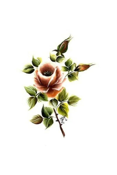 Cadence Boya G10 17X25 Gülsün Ülkü Ready Transfer Paper