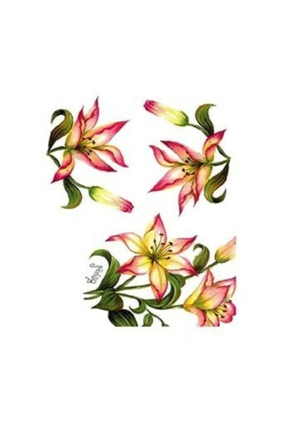 Cadence Boya G40 17X25 Gülsün Ülkü Ready Transfer Paper