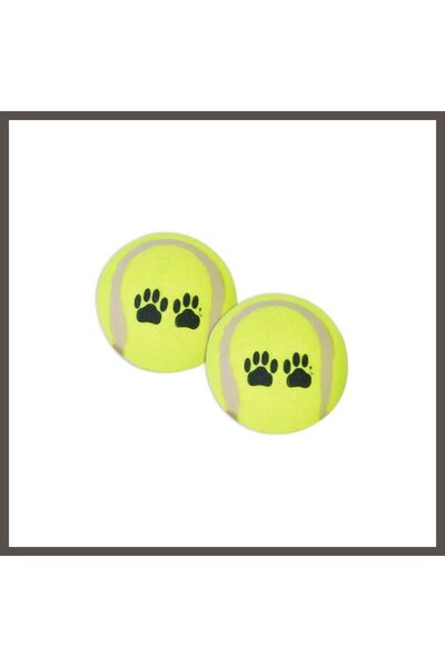 Generic Brand Wp-6331 Pet Tennis Game Ball 2 in 1 Piece Nxrlvng
