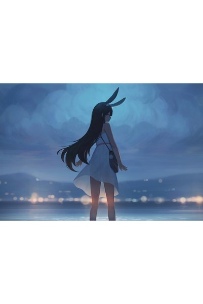 OEM Poster Fată Anime Brunetă cu Urechi de Iepure 4k, 61x90 cm, poster12241