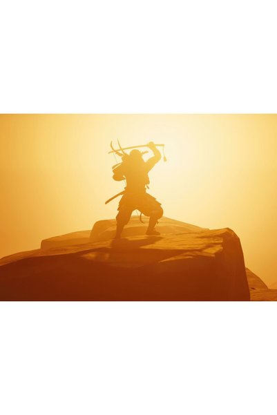 OEM Poster Ghost Of Tsushima Ps5 2024, 61x90 cm, poster13360