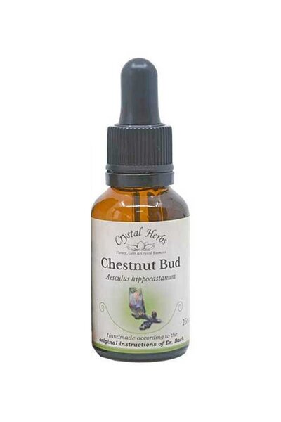 Crystal Herbs Άγρια Κάστανο (Μπουμπούκι Κάστανου) Ανθόσπορος Μπαχ 25ml