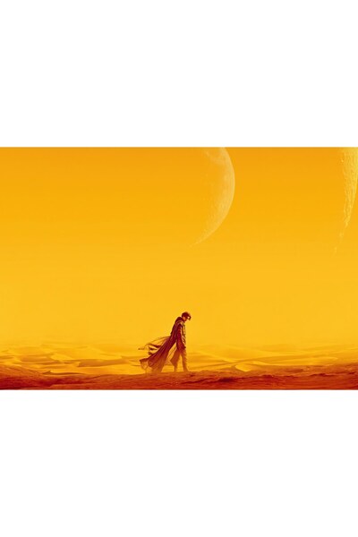 OEM Αφίσα Dune X Blade Runner 5k, 61x90 εκ., poster22814