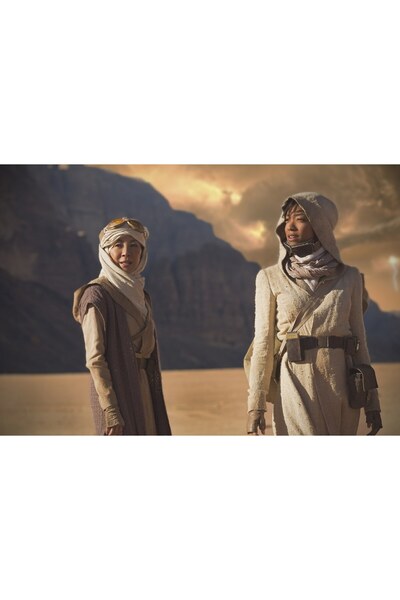 OEM Poster Star Trek Discovery Sonequa Martin Green, 61x90 cm, poster22881