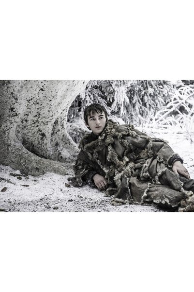 OEM Poster Bran Stark, 61x90 cm, poster23738