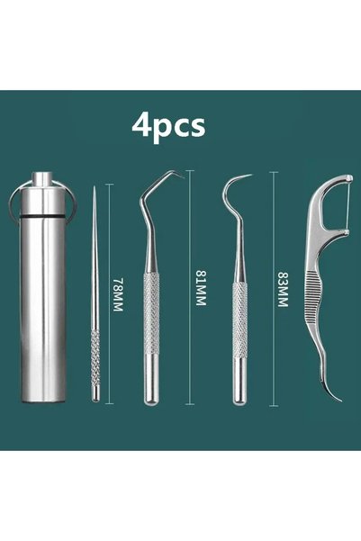 Choice C625-Silver 4pcs Stainless Steel Toothpicks Pocket Set, Portable Floss...