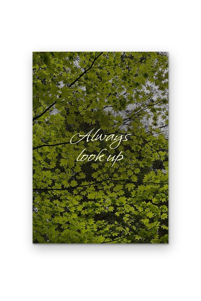 OEM Poster Carton 250g A4 cu citat motivational Priveste mereu in sus, Decor ...