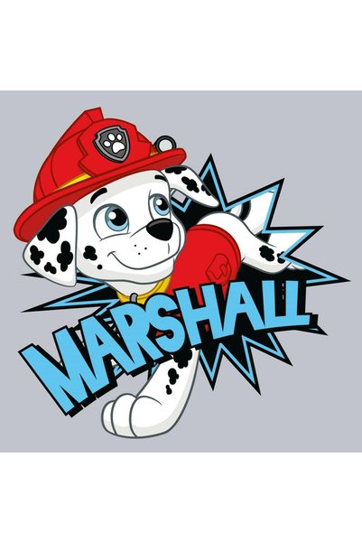 CARBOTEX Prosop magic 30x30 cm Paw Patrol Marshall gri Magic