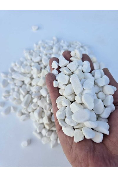 Asenya Dolomit Taş Beyaz Çakıl Taşı 1 kg 1-2 cm Dere Taşı Akvaryum Cam Vazo Teraryum Bahçe Peyzaj Dekor Süs Taşı