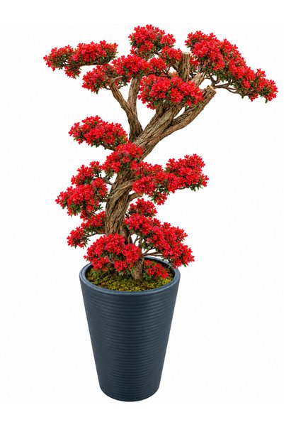 OSKARYUM Yapay Bonsai Ağacı 100 Cm Doğal Gövde