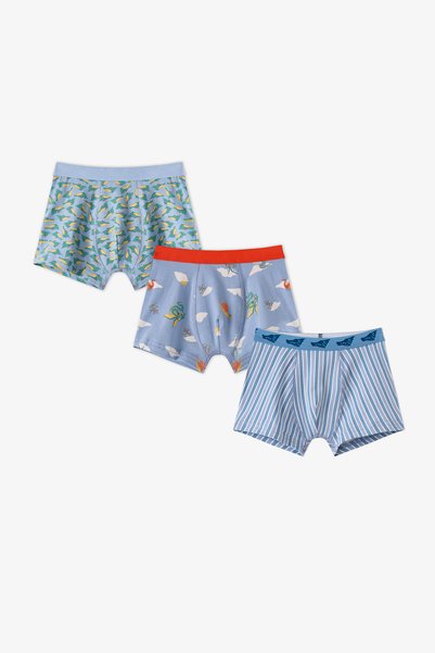 Penti Erkek Çocuk Mavi Soft Dragon Dinozor Desenli Pamuklu 3'lü Boxer