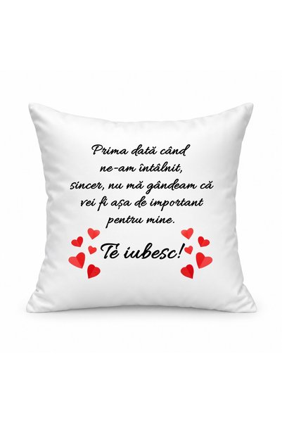 Fabricacucadouri.ro Pernă personalizată Prima data cand ne am intalnit... Te ...