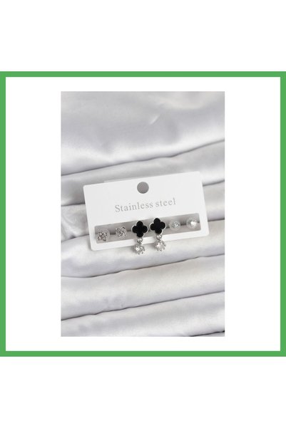 Nur store Çanta 316L Steel Silver Color Clover Detailed Women's Earring Set B...