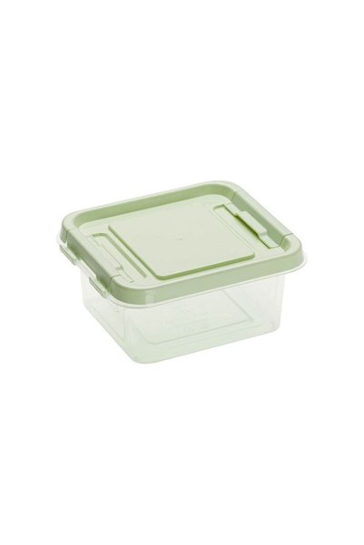Jumbo Recipient Alimente Transparent Verde cu Capac 500ml