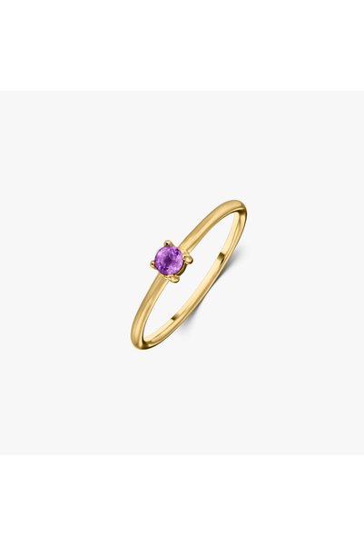 Indira Jewelry Inel din argint Birthstone Golden February - Ametist