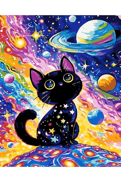 Generic Paint by Numbers Kit for Adults Beginners – Planet Cat Acrylic Painti...