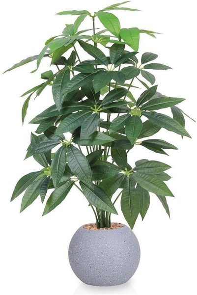 Generic شجرة اصطناعية للديكور الداخلي، نبات اصطناعي بأوراق خضراء كثيفة، مثالي...