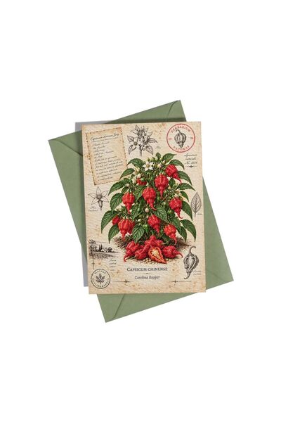 OEM Felicitare Botanică cu Ardei Iute Carolina Reaper – Colecția de Ardei Iute