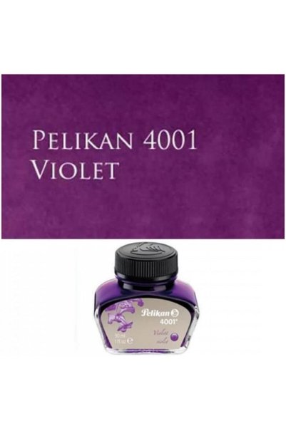 Generic 4001 Bottled Ink for Fountain Pens, Violet, 30ml, 1 Each (311886)