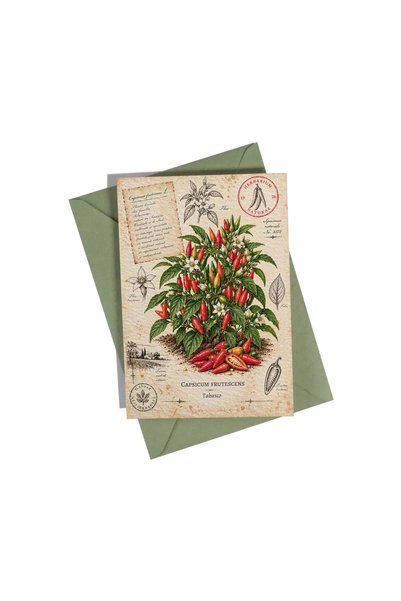 OEM Felicitare Botanică cu Ardei Iute Tabasco – Colecția de Ardei Iute
